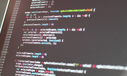 functionaliteit maatwerk website maken